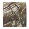 Click to see more details