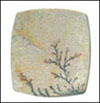 Click to see more details