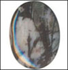 Click to see more details