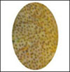 Click to see more details