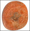 Click to see more details