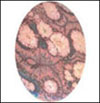 Click to see more details