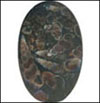 Click to see more details